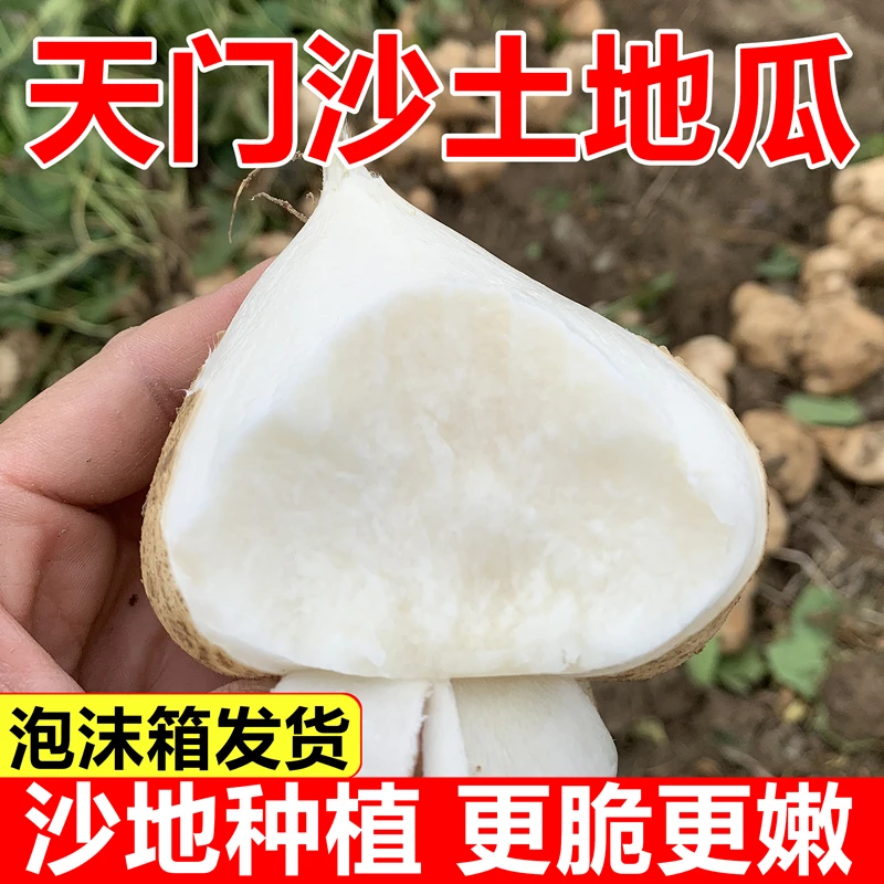 【方小鲜】天门拖市地瓜新鲜现挖农家地萝卜生吃脆甜凉薯应季水果
