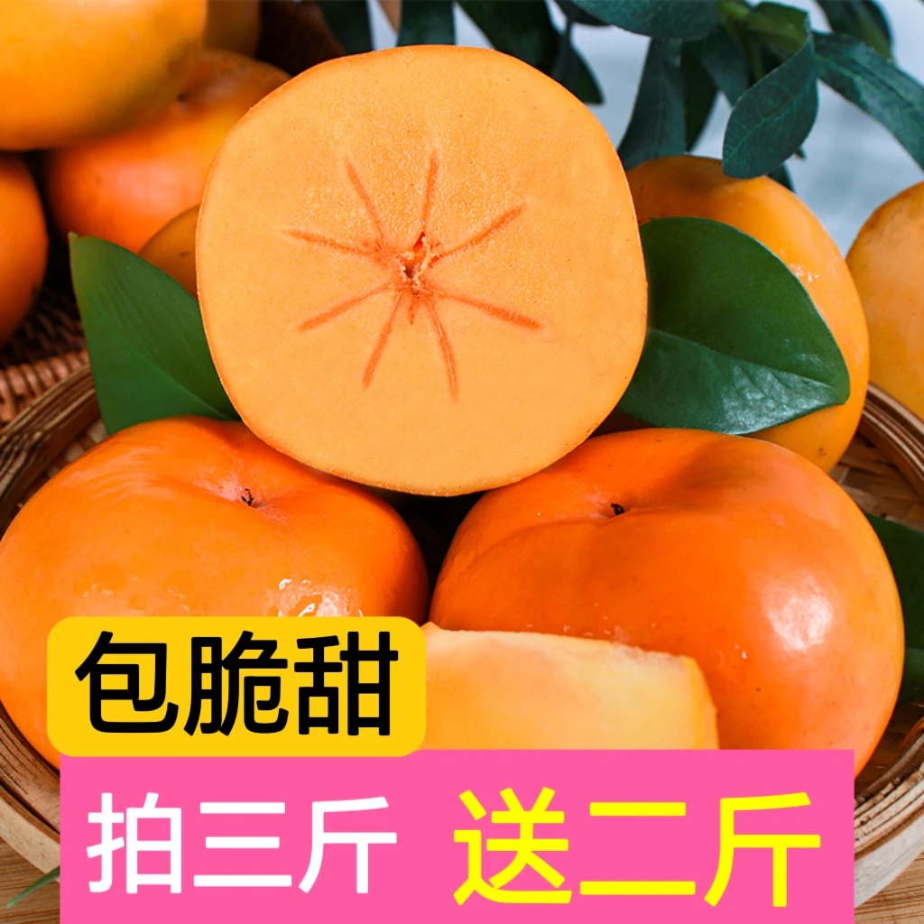 广西柿子生鲜水果非山西阳丰硬柿子巧克力脆柿整箱包邮