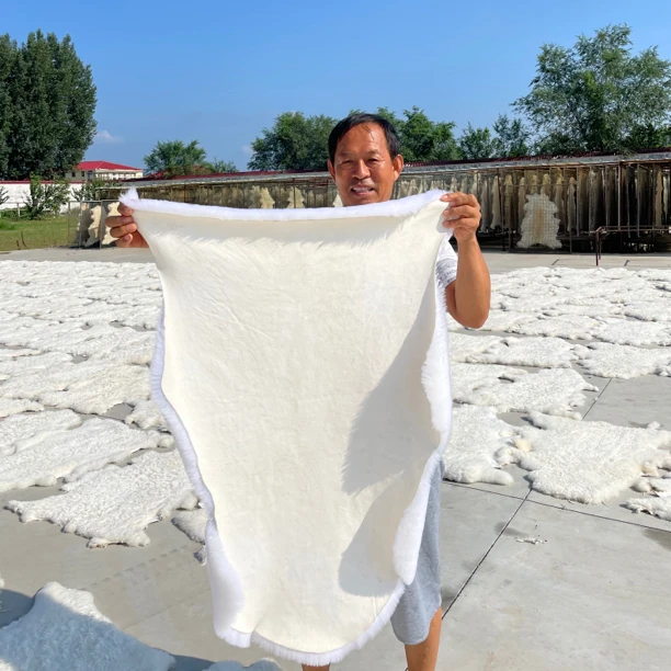 【A类羔羊皮】新疆阿勒泰羊羔皮毛毯坐垫飘窗沙发汽车垫