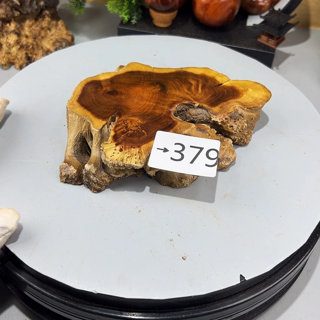 花梨木类李*麻梨核的？