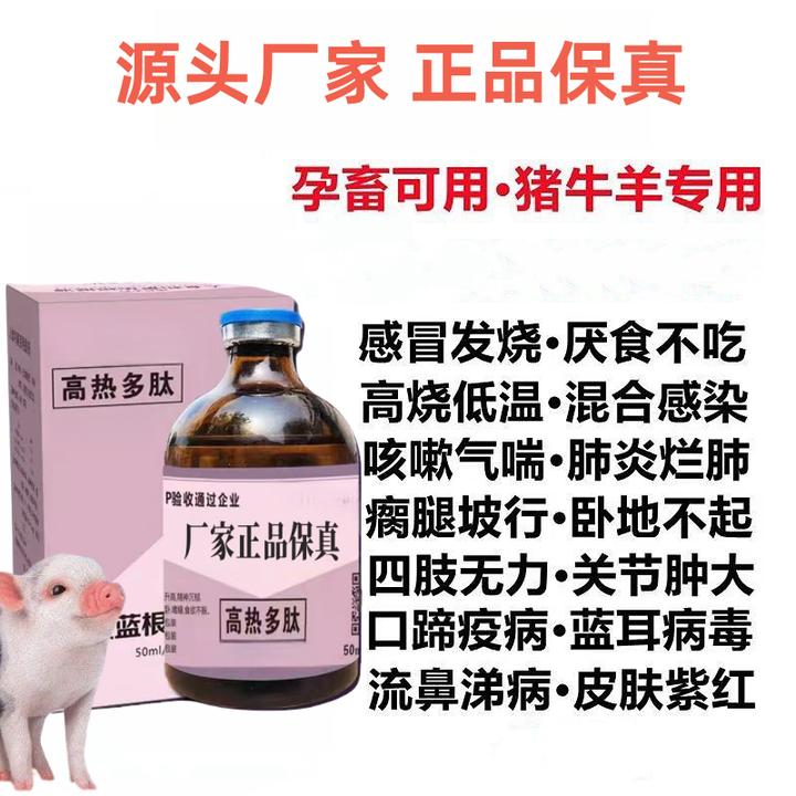【高热多肽】养殖蓝耳猪瘟圆环附猪链球菌不吃料猪皮肤红耳朵紫可用