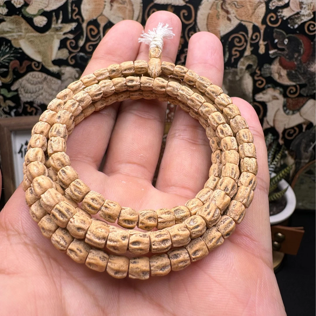 《热振柏香》小坑直切方块柏香籽5mm