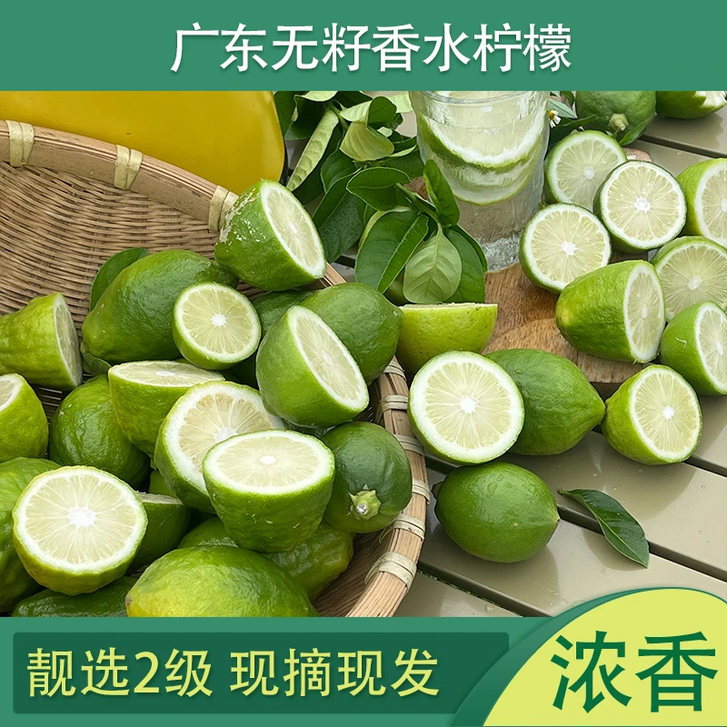 【摆摊精选香水柠檬】广东香水柠檬广东发货暴打手打柠檬茶3斤包邮