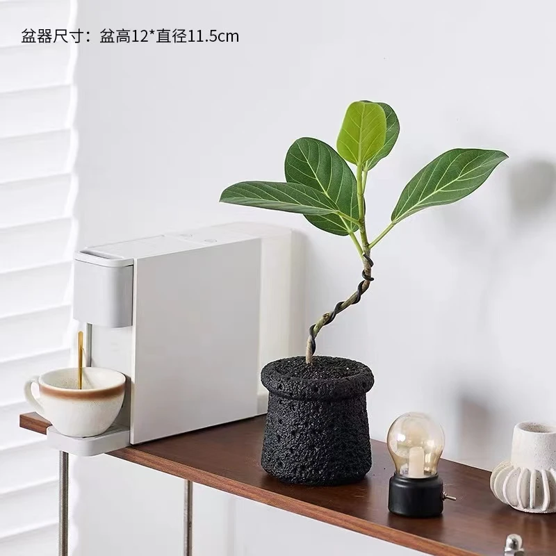 造型高山榕富贵榕树网红北欧盆栽好养绿植办公室内客厅植物面包树