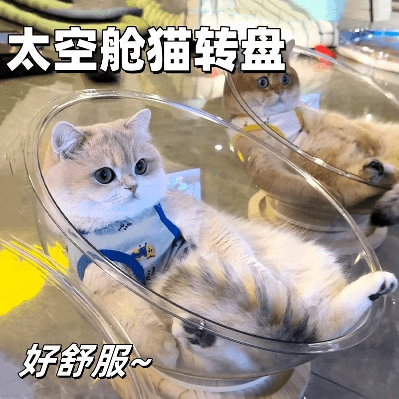 太空舱猫窝一天四季通用夏季猫窝转盘猫玩具猫床一体半封闭睡觉窝