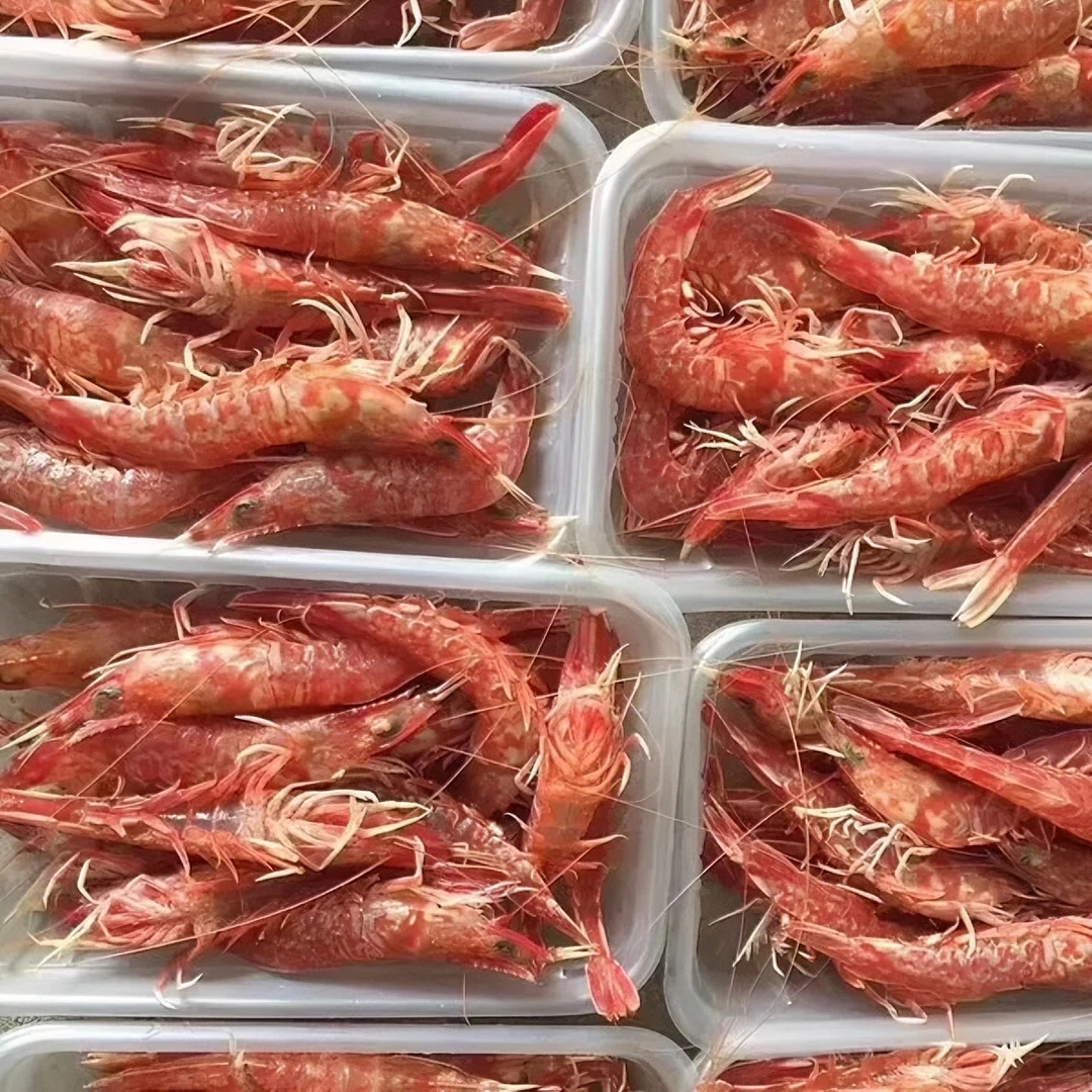 广东野生海捕樱花虾