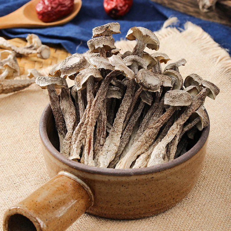 营养鹿茸菇脆脆菇严选送礼食用菌鹿茸菌脆嫩新鲜浓郁鹿茸菇干货