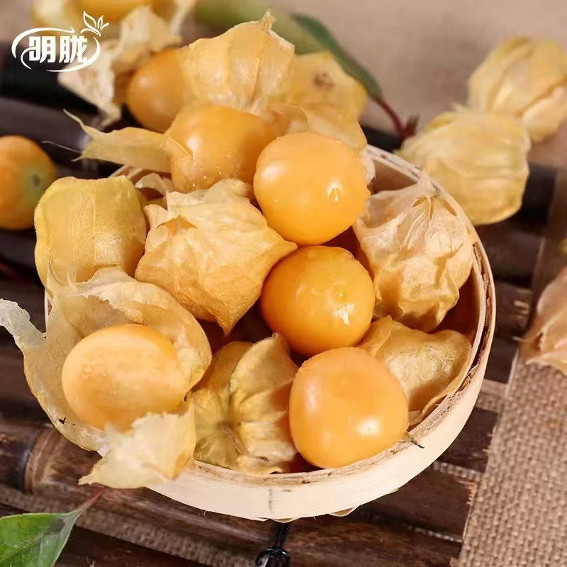 黄菇娘果网红水果黄皮果灯笼果应季新鲜即食水果现货包邮