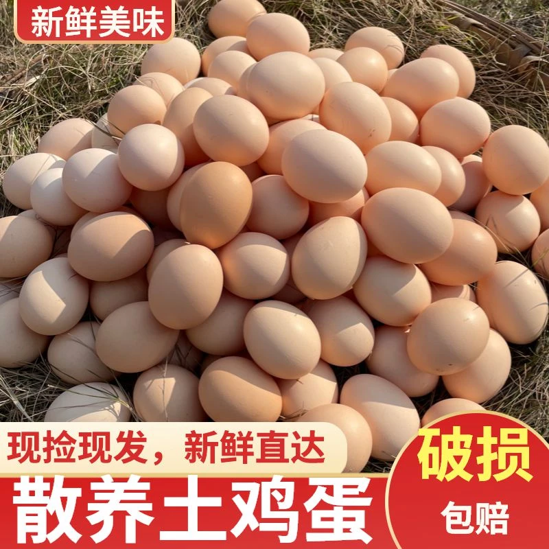 山林柴鸡蛋孕妇的营养宝库！正宗孕妇营养丰富可食孕妇营养丰富