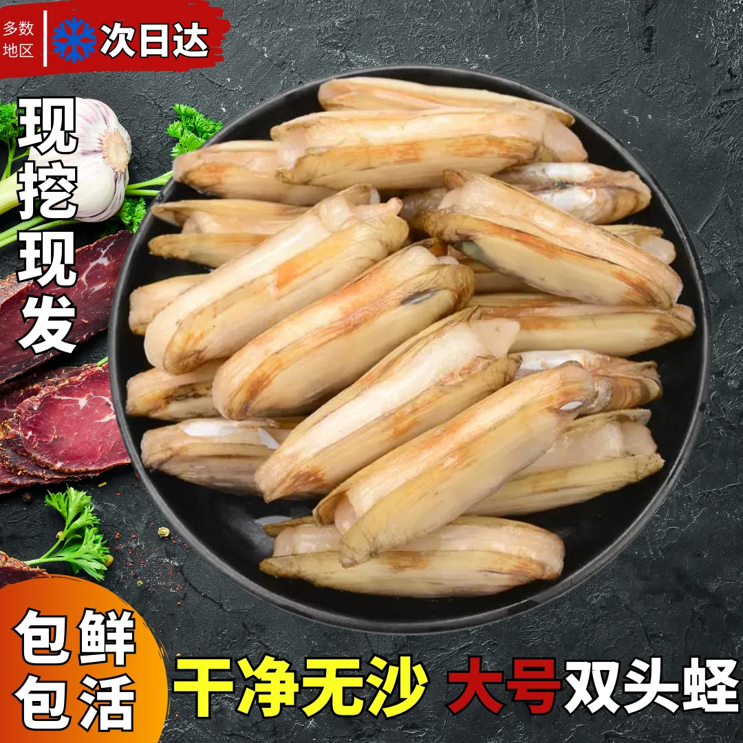 鲜活蛏子双头蛏子非竹节蛏当天现挖连云港发货（太远不包活）3斤