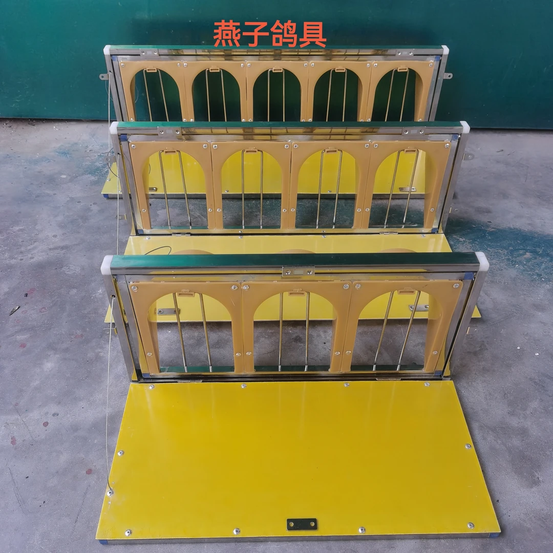 鸽子用可放飞的进门口