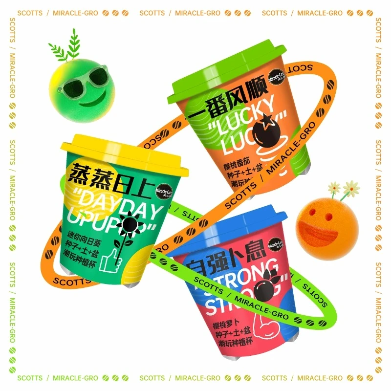 美乐棵潮流种植杯樱桃番茄黄瓜桌面绿植亲子小白种植办公室小盆栽