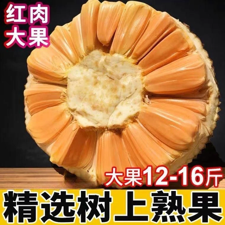 【按斤称果】海南红肉菠萝蜜一整个当季热带水果10-30斤