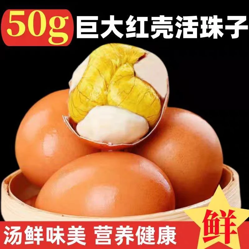 新鲜13天活珠子鸡胚蛋即食凤凰蛋熟钢化蛋红壳大个特大号真空包装