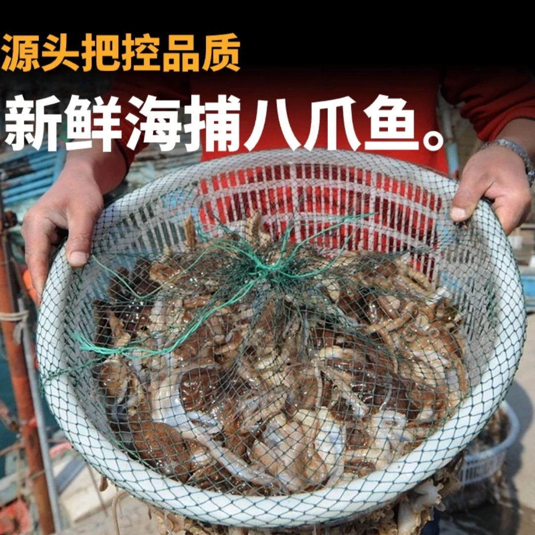 秦皇岛渤海湾野生八爪鱼（大小混装）