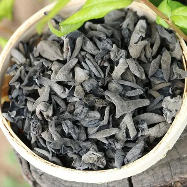 【大龙专属】严选东北特产秋木耳500克/袋 干净肉厚黑木耳 凉拌煲汤