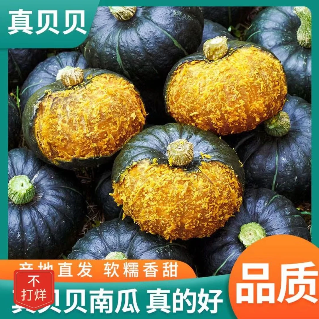 正宗南瓜贝贝板栗味软糯香甜3斤装