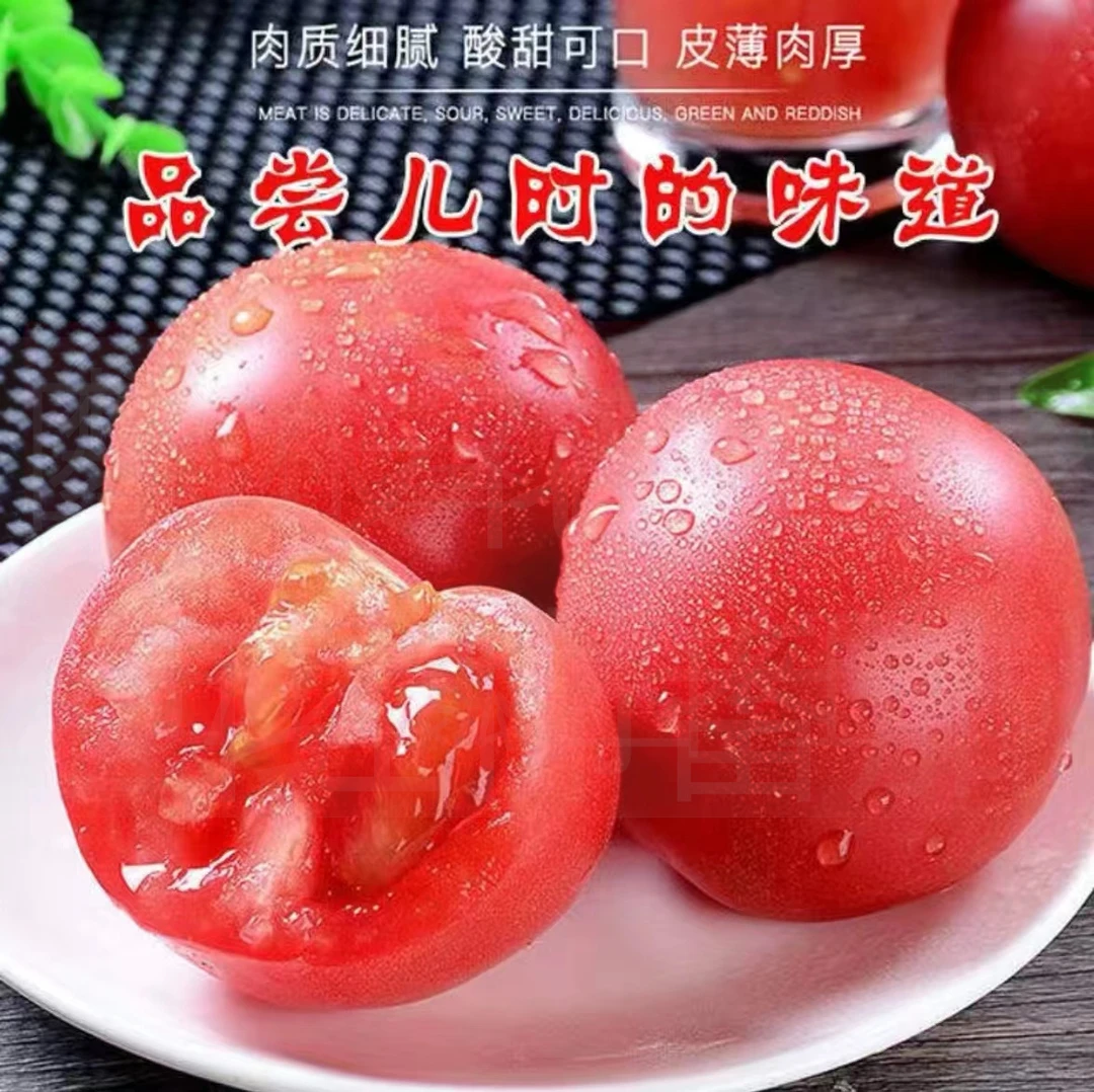 【自然熟】四川攀枝花沙瓤西红柿番茄露天自然成熟老式沙瓤西红柿