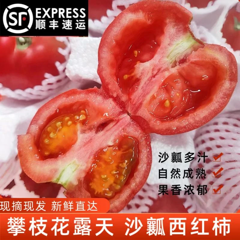 【顺丰】攀枝花西红柿自然成熟沙瓤粉番茄生吃炒菜蔬菜高山种植水果