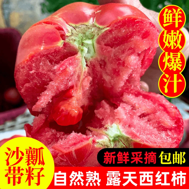 沙瓤番茄现摘现发攀枝花种植自然成熟沙瓤西红柿生吃水果蔬菜包邮