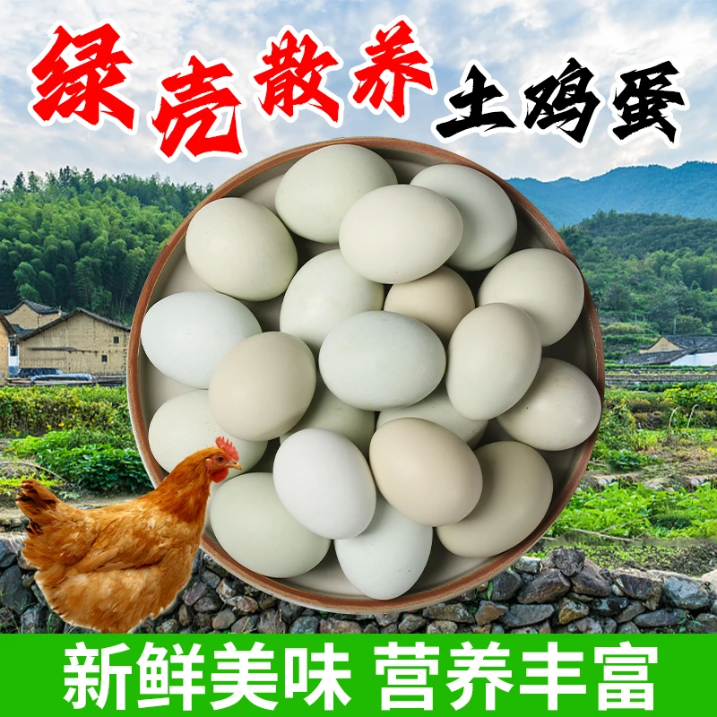 绿壳土鸡蛋新鲜绿壳鸡蛋正宗农村土鸡蛋农家散养鸡蛋10枚30枚
