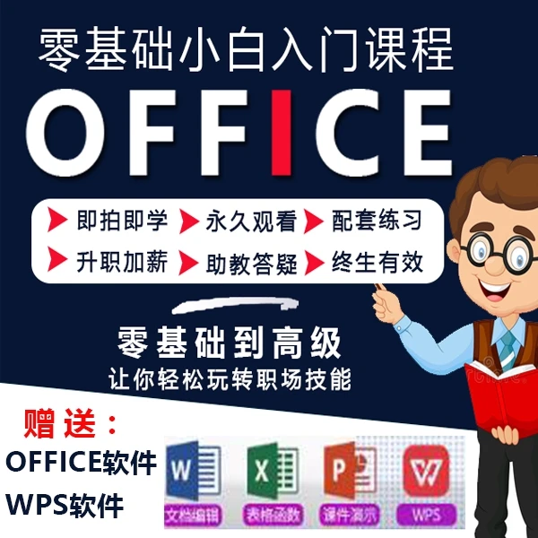 Office2019办公软件excel表格函数Word视频教程PPT制作零基础课程