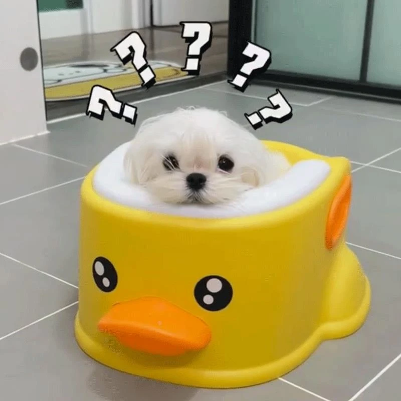 马尔济斯专用洗澡盆可折叠浴盆浴缸宠物狗狗泡澡桶工具小型犬用