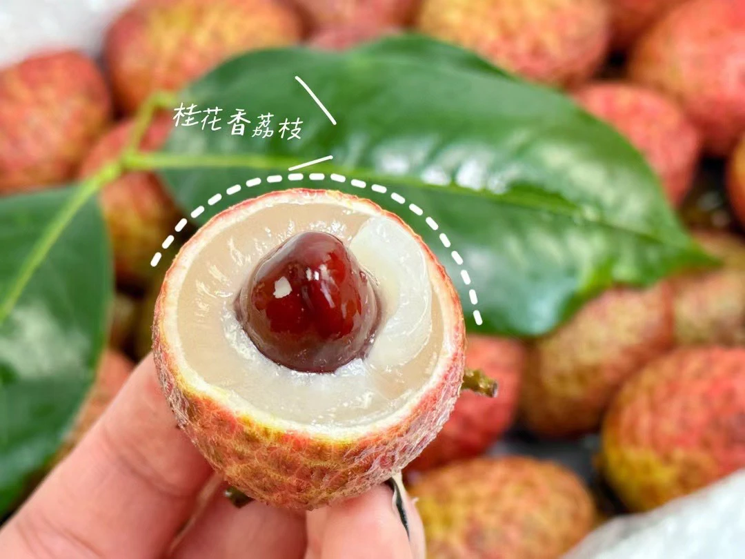 时令美食