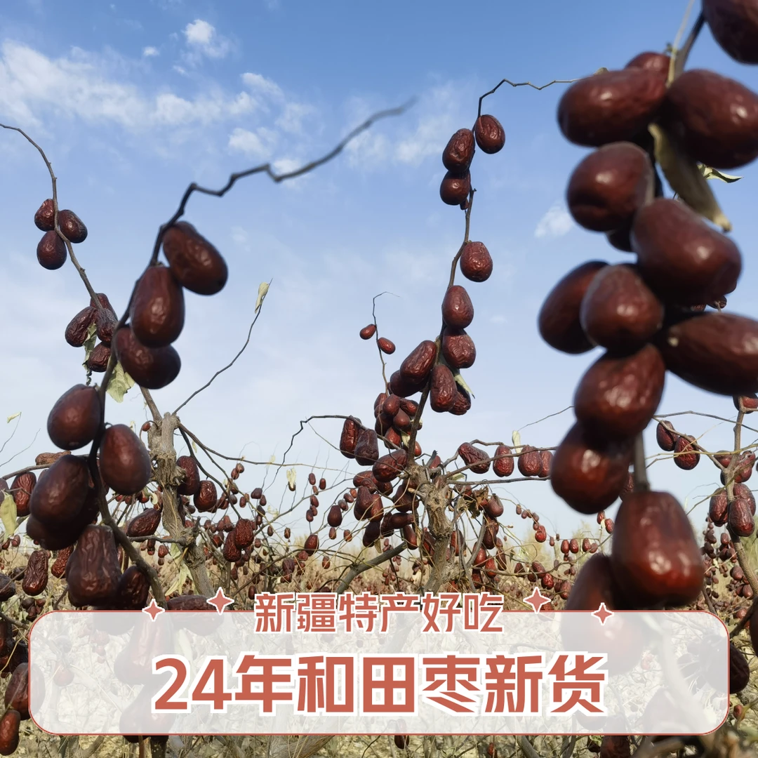 和田大枣（二级）原生态自然吊干产地直发皮薄肉厚