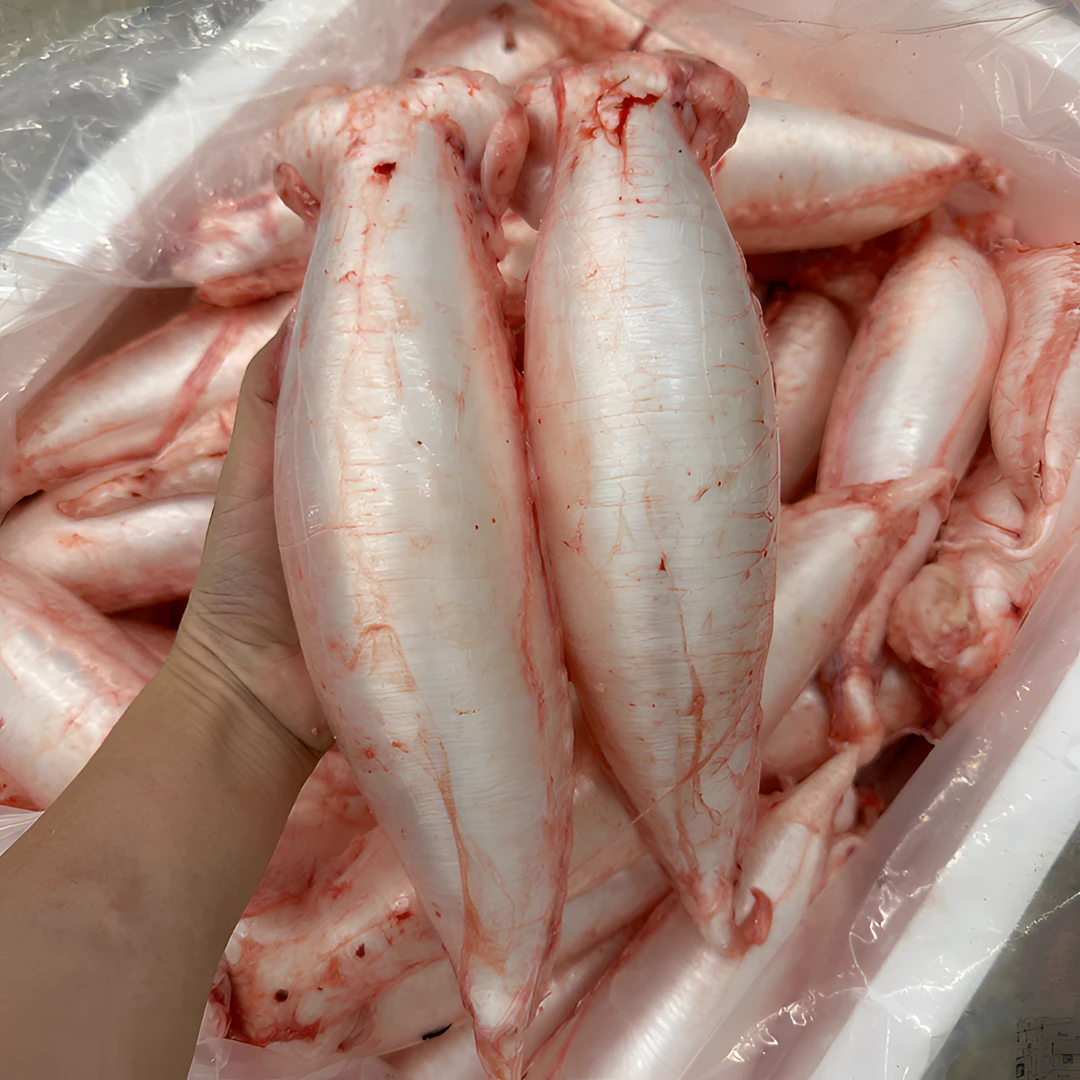 【大虫小鱼】新鲜赤嘴鳘鱼胶鱼漂鱼泡汤食用补炖盅滋补品称重500g