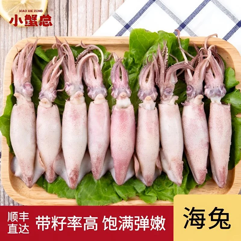 海兔子笔管鱼新鲜鱿鱼灯光鱿鱼墨鱼带籽乌贼250g/包