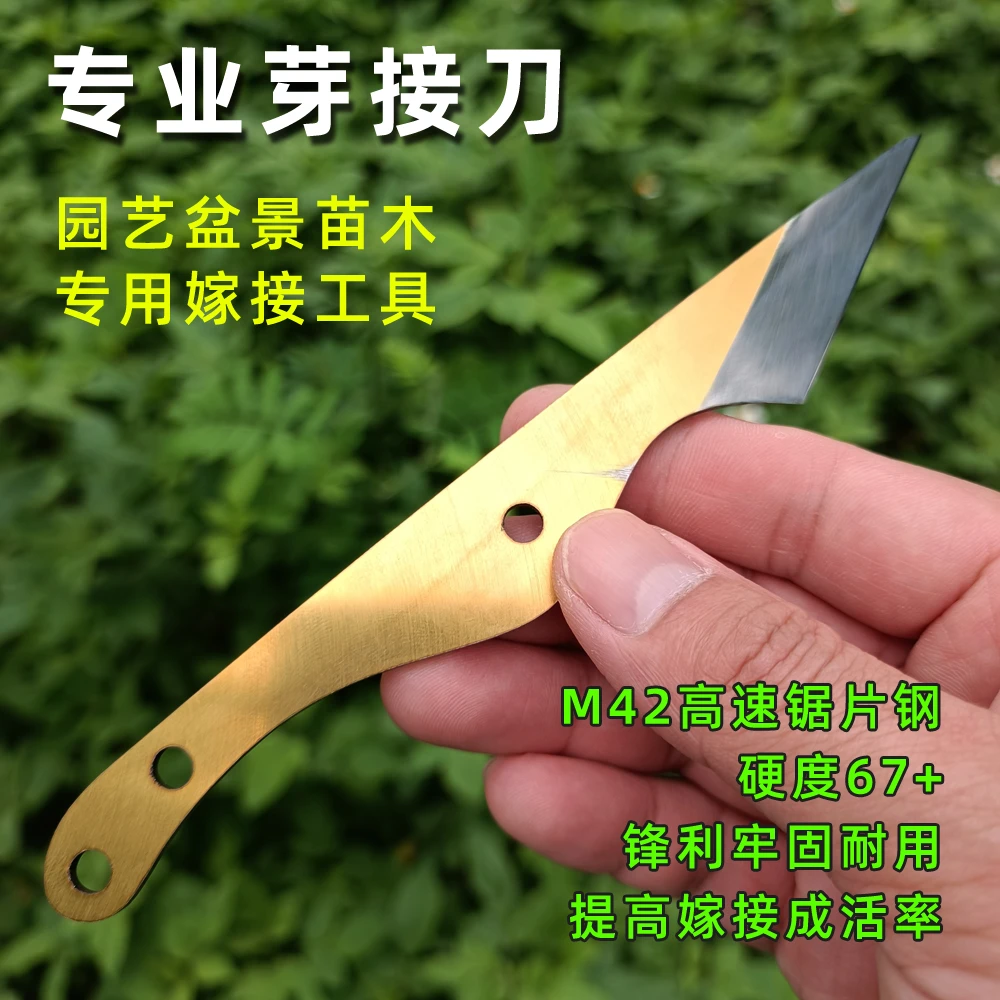 园艺盆景金弹子芽接刀M42高速锯片钢嫁接刀硬度67+园林嫁接工具