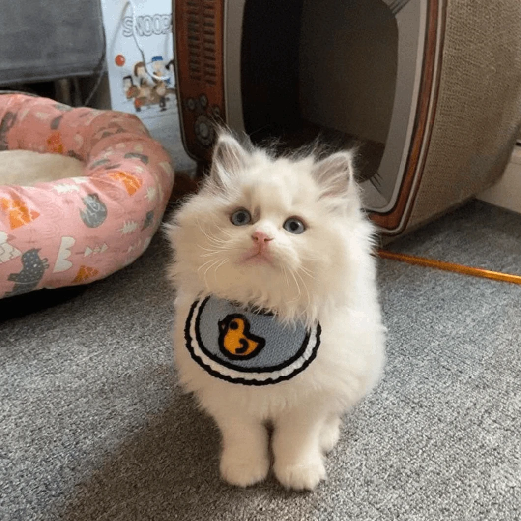 夏季ins风猫咪口水巾狗狗围脖网红百搭宠物用品卡通防脏时尚透气