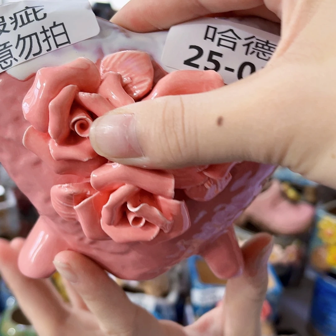 【闪购商品】红陶20CM以下瑕疵2536