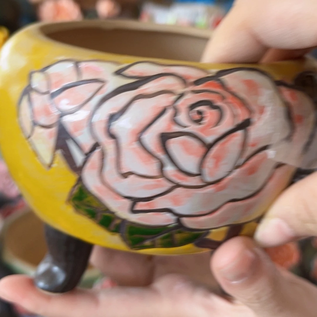 【闪购商品】红陶福利