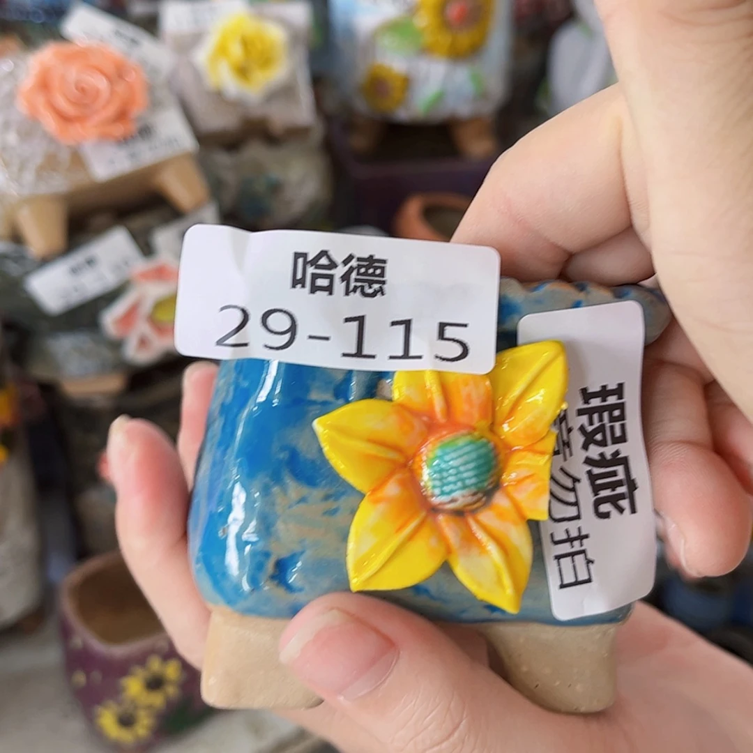 【闪购商品】红陶20CM以下29115瑕疵