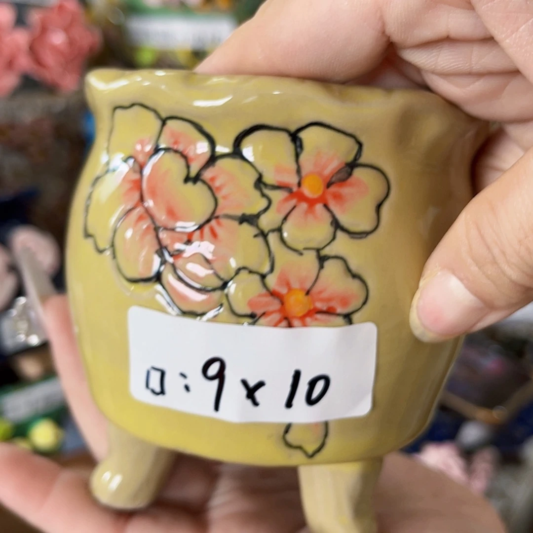 【闪购商品】红陶福利