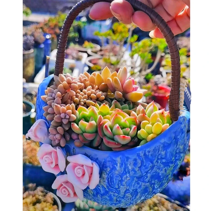 手工提篮多肉陶瓷花盆