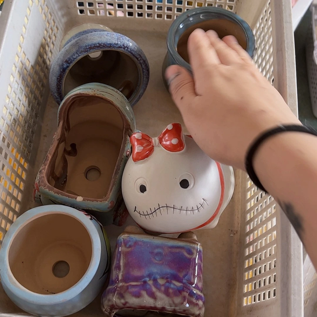 【闪购商品】红陶20CM以下瑕疵2436