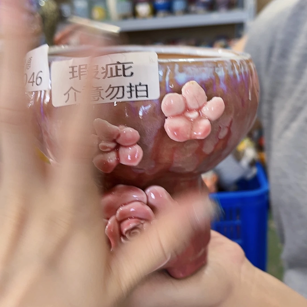 【闪购商品】红陶20CM以下