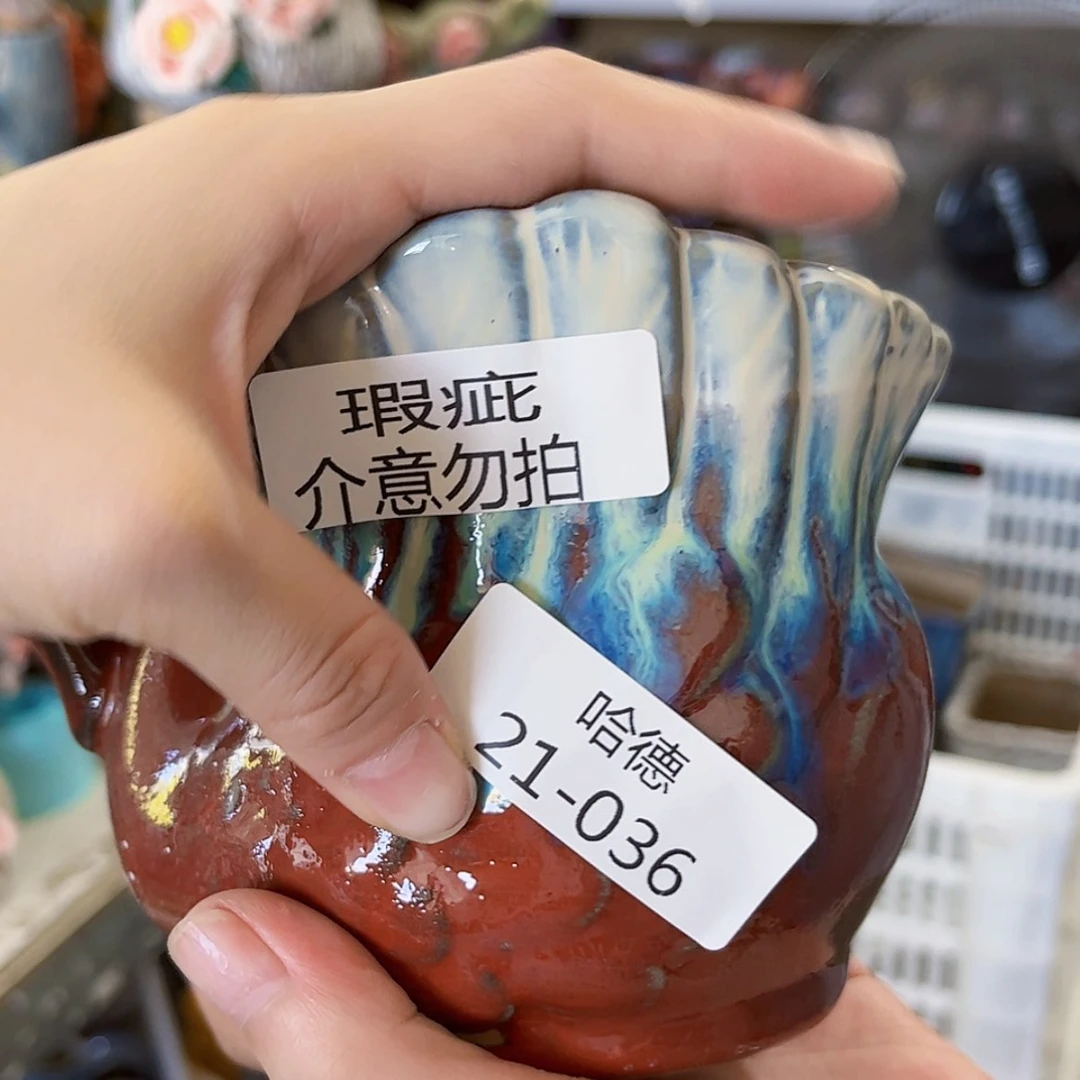 【闪购商品】红陶20CM以下瑕疵2136