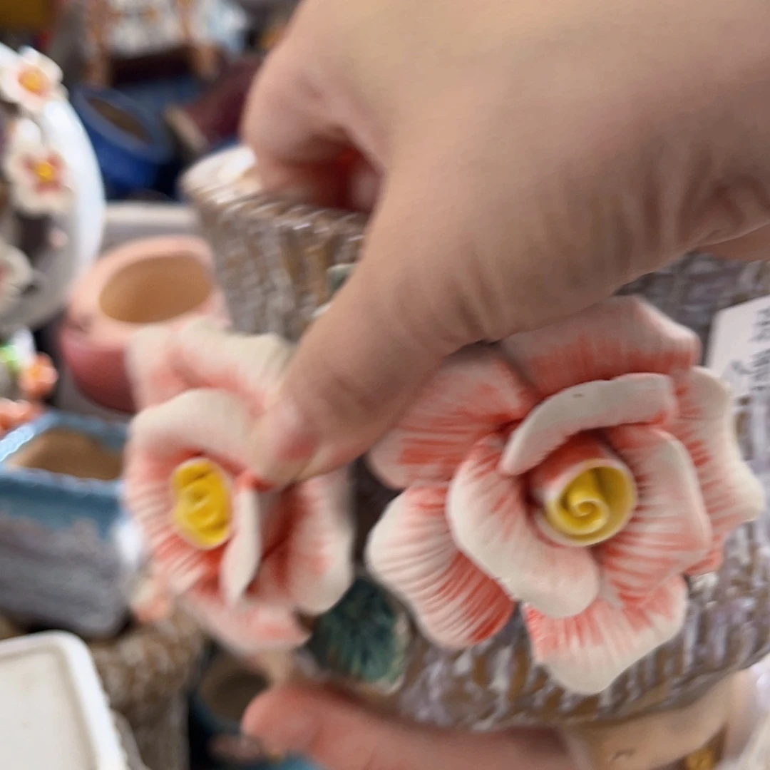【闪购商品】红陶20CM以下瑕疵2547