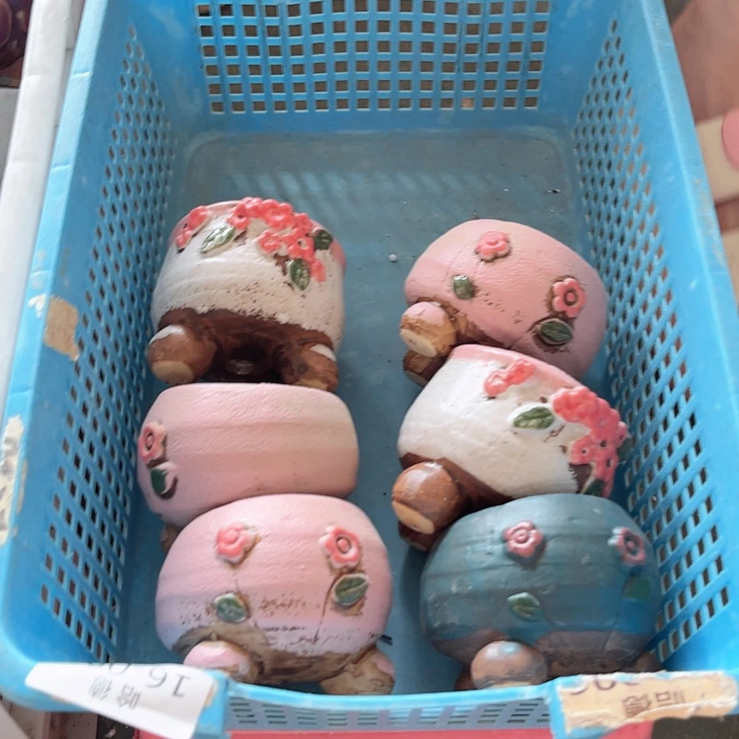 【闪购商品】红陶20CM以下17120