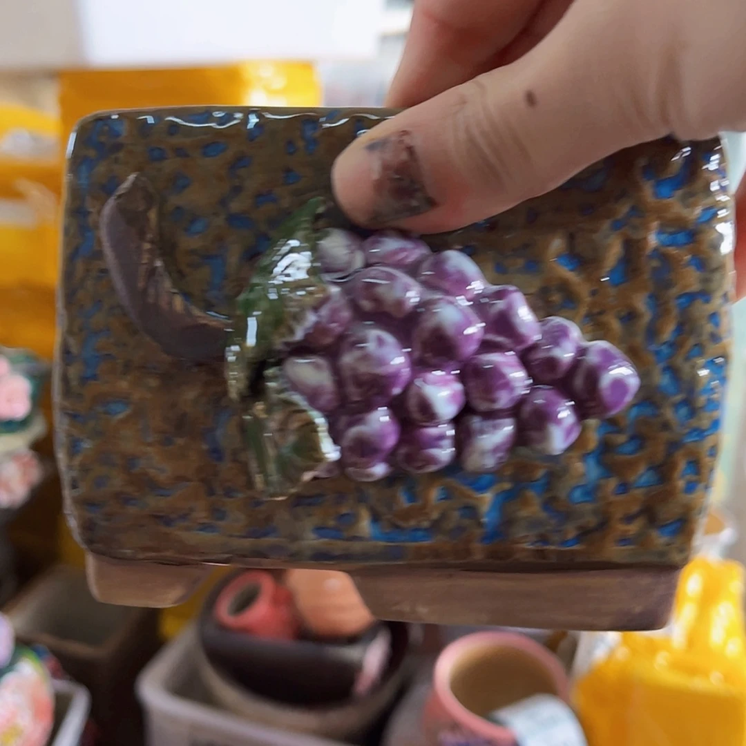 【闪购商品】红陶20CM以下福利