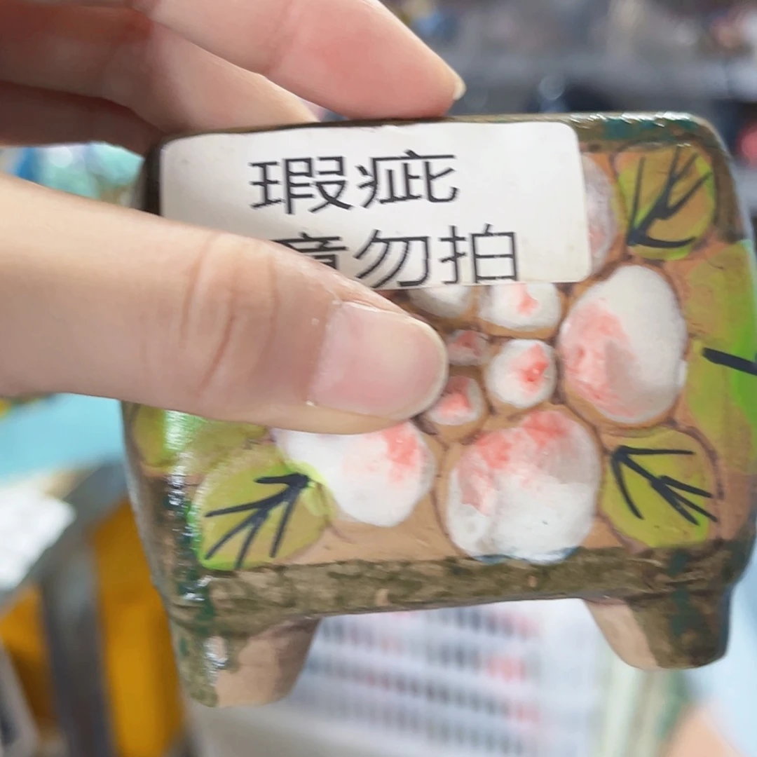 【闪购商品】红陶20CM以下