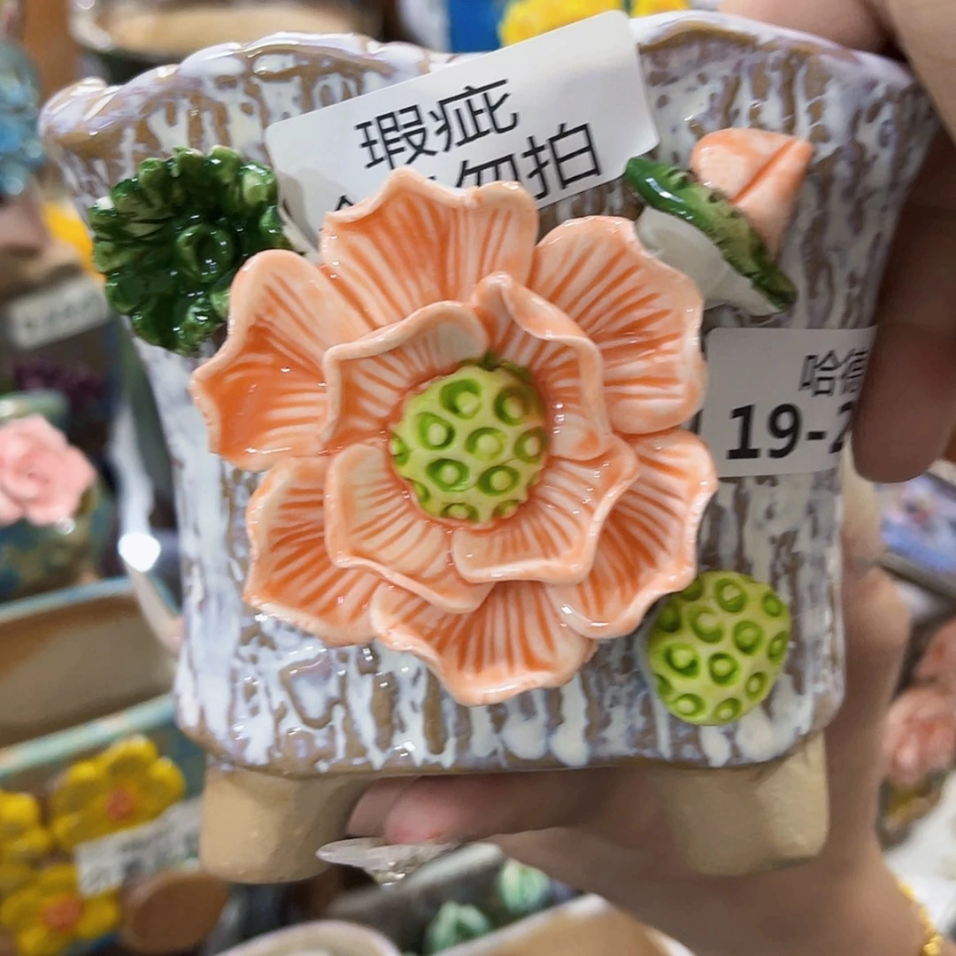 【闪购商品】红陶20CM以下