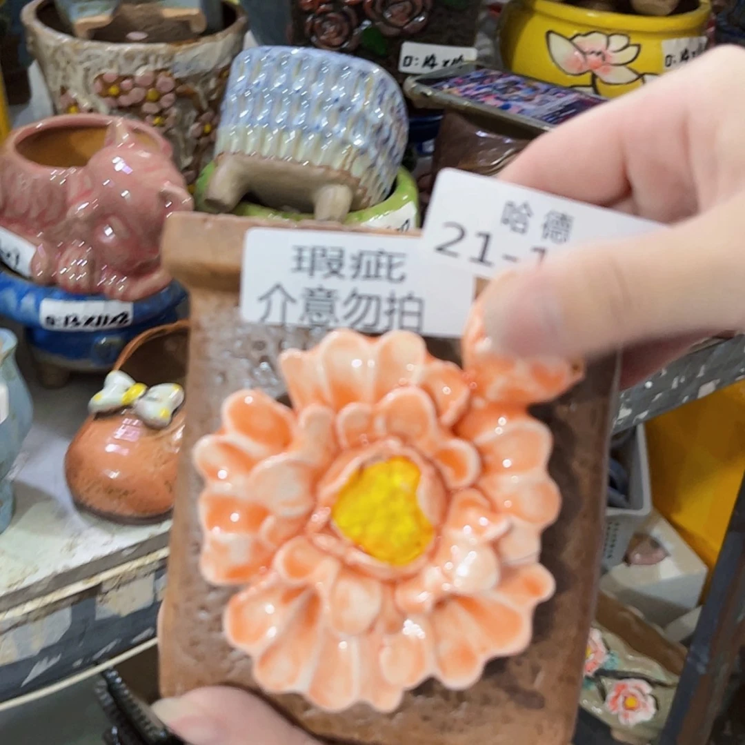 【闪购商品】红陶20CM以下瑕疵21145