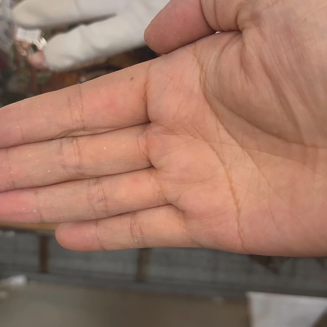 【闪购商品】红陶20CM以下559瑕疵