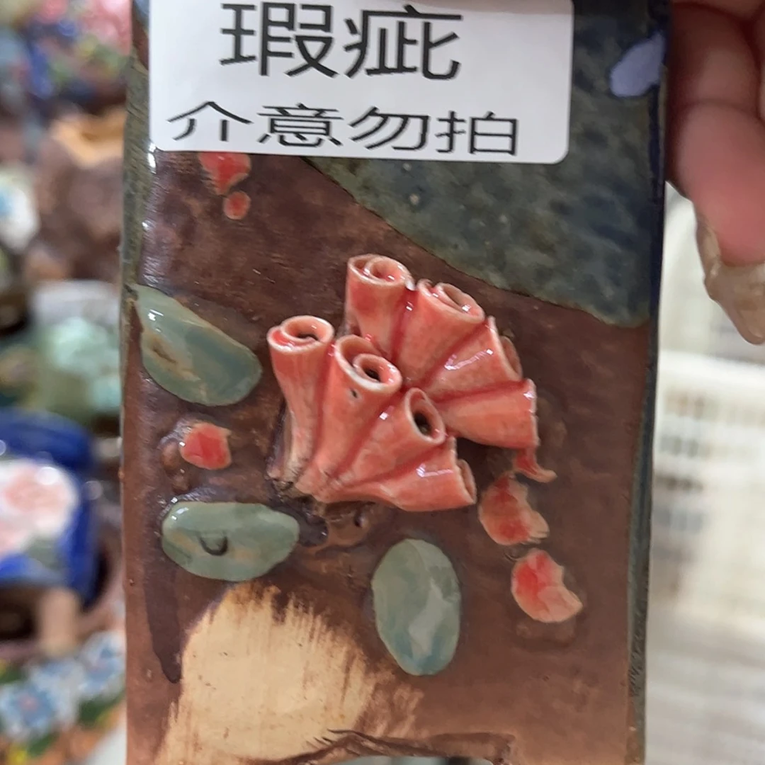 【闪购商品】红陶15cm以下