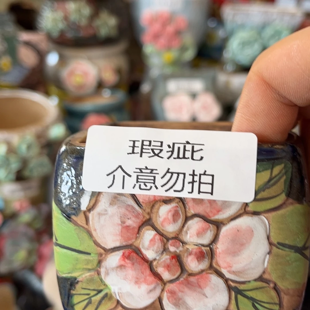 【闪购商品】红陶15cm以下